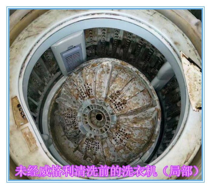 威格利家電清洗中心為什么要推出洗衣機(jī)清洗劑？